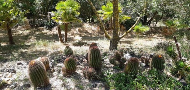 Cactus Park, Bessan, France